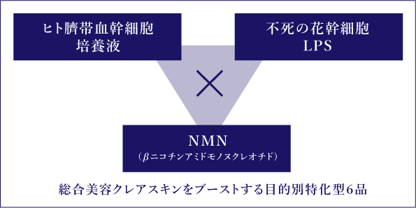 総合美容クレアスキンをブーストする目的別特化型６品