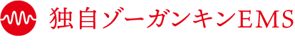 独自ゾーガンキンEMS